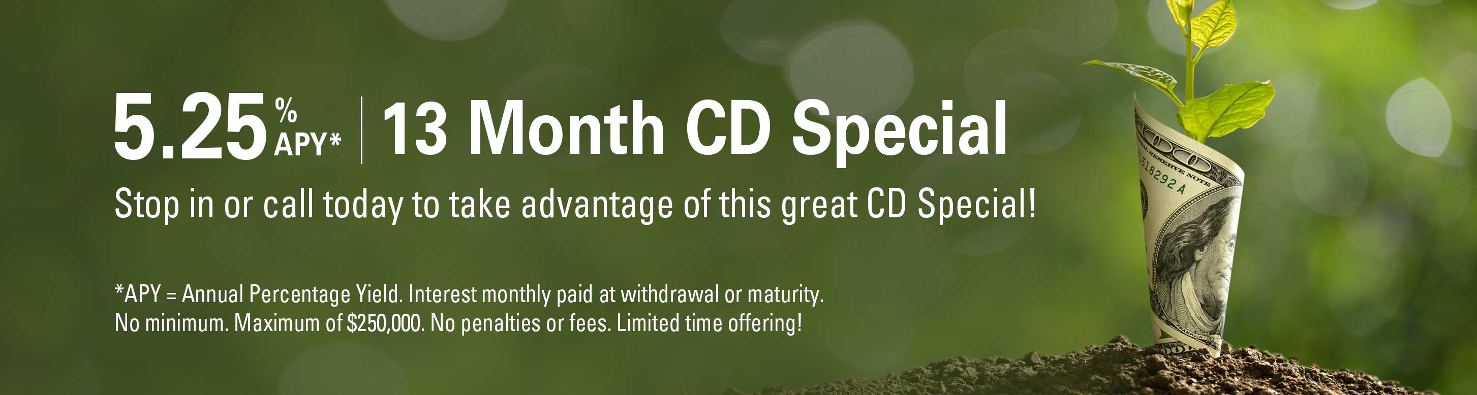 5.25%APY - 13 Month CD Special. Stop in or call today to take advantage of this great CD Special! *APY = Annual Percentage Yield. Interest monthly paid at withdrawal or maturity. No minimum. Maximum of $250,000. No penalties or fees. Limited time offering!